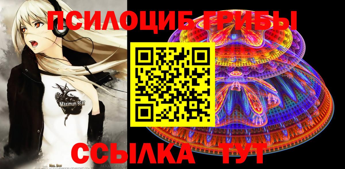 Псилоцибиновые грибы Cubensis Гусиноозёрск