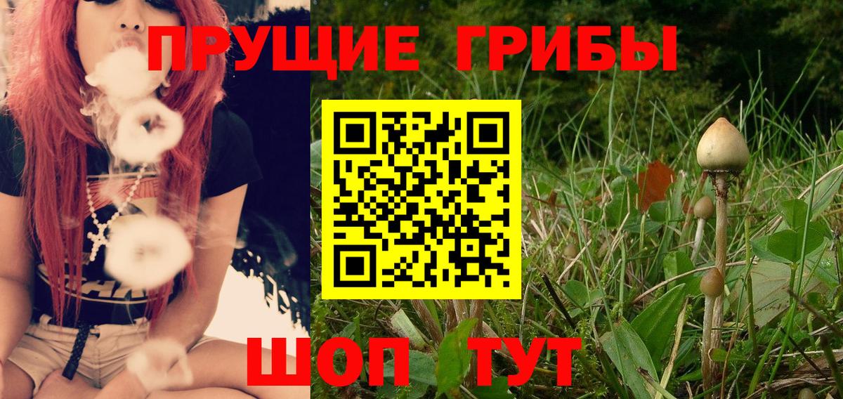 Галлюциногенные грибы мицелий  Гусиноозёрск 