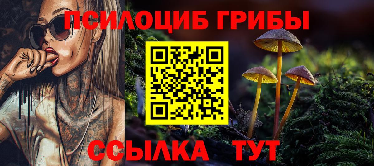 Псилоцибиновые грибы мухоморы  Вход с VPN  Гусиноозёрск 