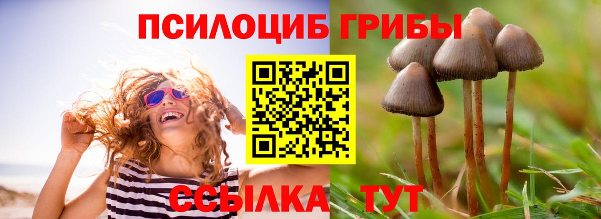 Галлюциногенные грибы Magic Shrooms Гусиноозёрск