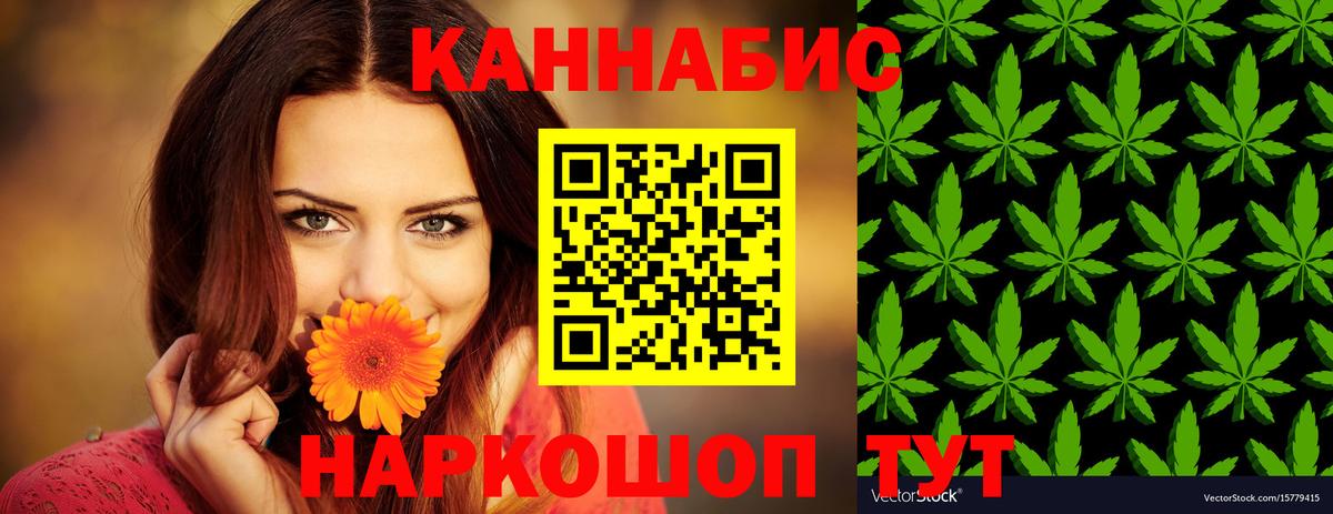 Канабис White Widow Гусиноозёрск